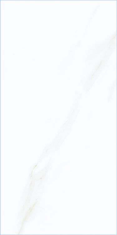 Time Cielo Matte 12 x 24